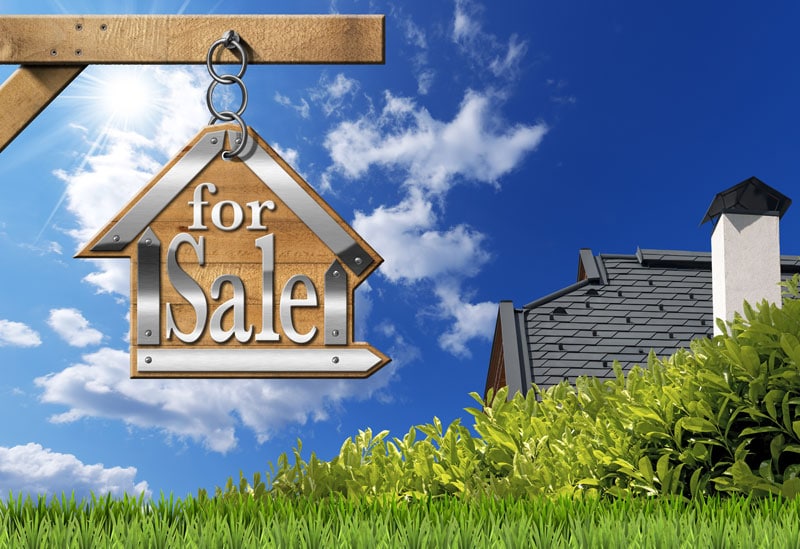 cabins for sale in north georgia