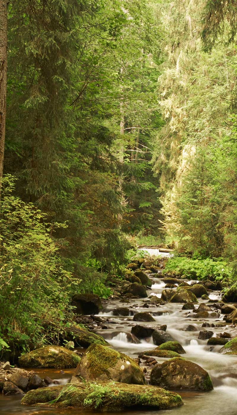 Buy Real Estate In Northern Georgia