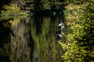 Trout Fishing Blue Ridge Mountains