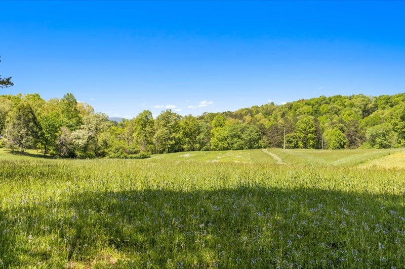 Blue Ridge Property