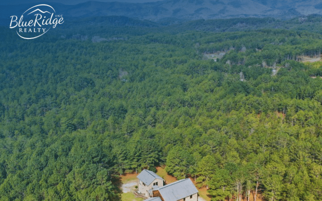 Living in the Mountains: Why Blue Ridge Homes are in High Demand